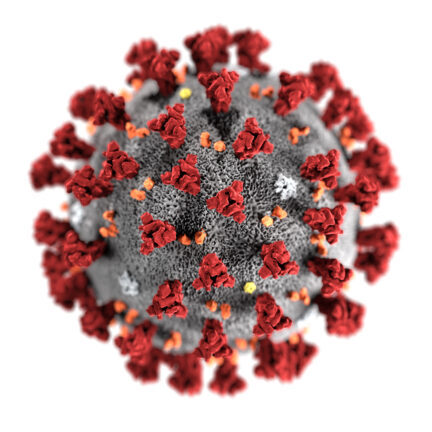 Coronavirus_image